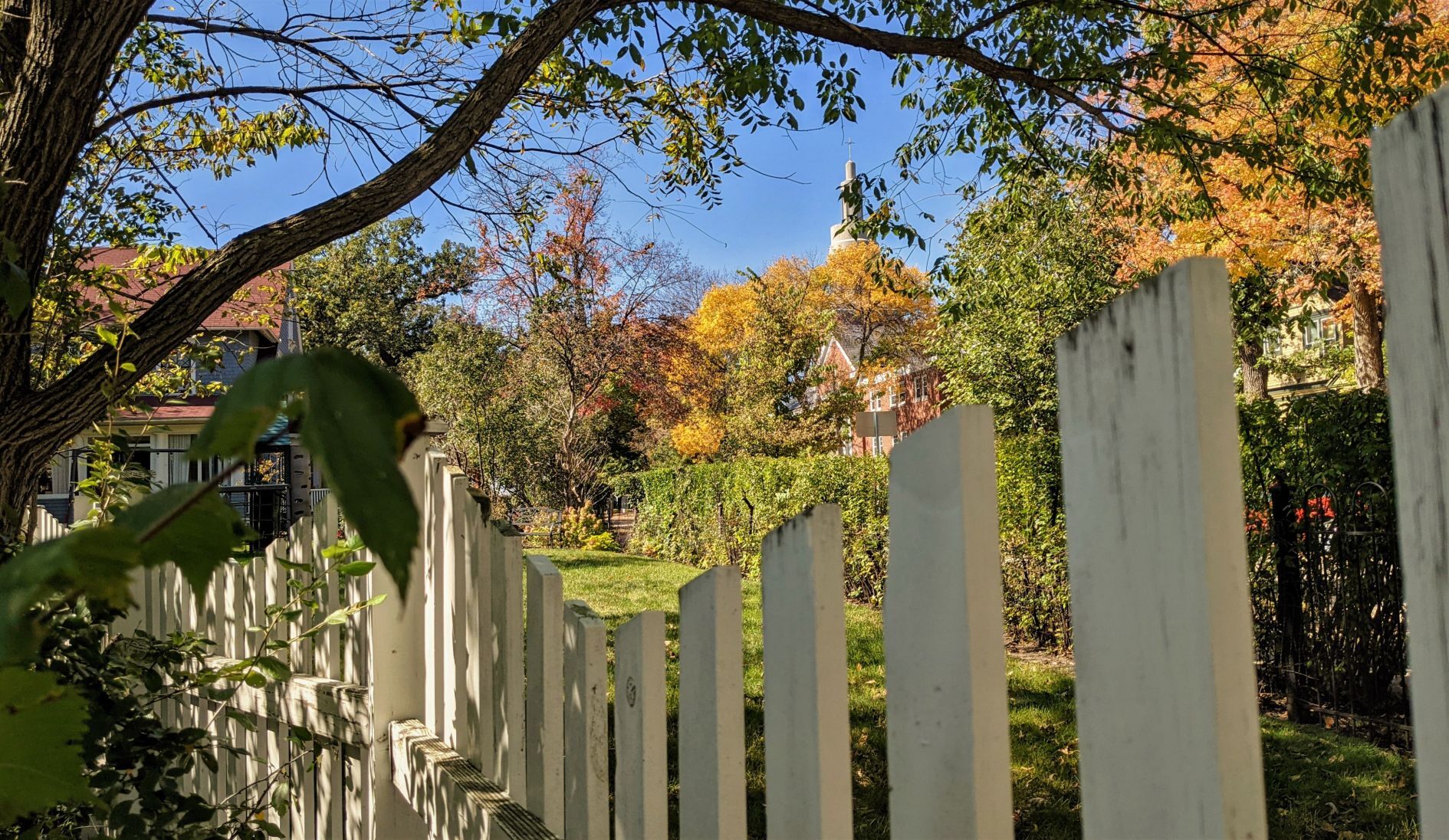 Fall in Mason City - fence